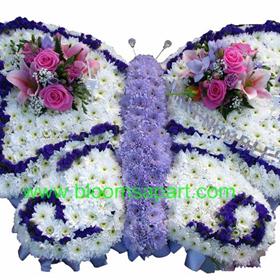 fwthumbButterfly - DSC08991.jpg